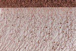 0820-86.jpg 0820-86.jpg