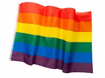 07-999983349-Fahne-CSD.jpg
