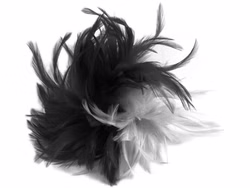 995992039-Haarclip-Feder-sw-weiss-Kopie1.jpg 995992039-Haarclip-Feder-sw-weiss-Kopie1.jpg