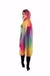 13737-01r1.jpg