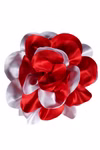 4110-roodwit.jpg