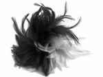 995992039-Haarclip-Feder-sw-weiss-Kopie2.jpg