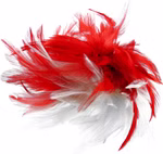 995992039-Haarclip-Feder-r-w1.jpg