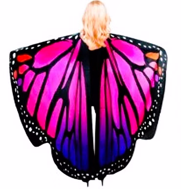 Umhang Schmetterling bunt Schmetterlingsflügel Tierkostüm Fasching Karneval