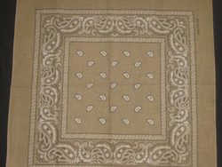 th-IMG-0821a-Kopie--2-.jpg th-IMG-0821a-Kopie--2-.jpg
