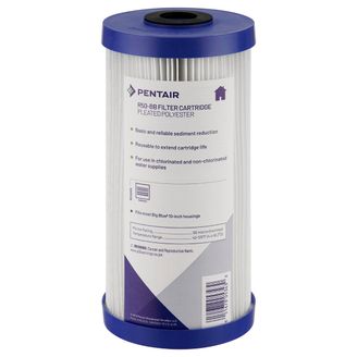 Pentek R50 BB Wasserfilter 10 Zoll Big Blue Sediment Schmutzfilter 50 Micron