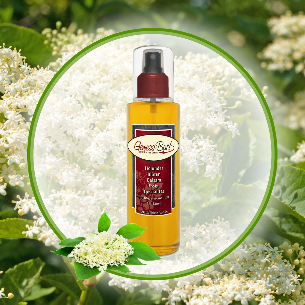 Holunderblüten Balsam Essig - Spezialität Sprühflasche 0,26L mit herrlicher Holundernote 5% Säure vegan Holunder Blüten Pumpspray