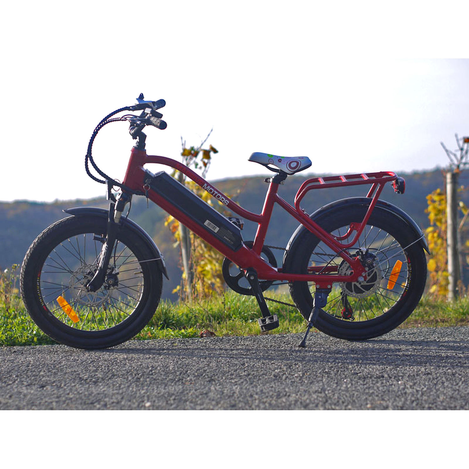Kinder E-Mountainbike 20 Zoll – 250 W & 6 Gänge