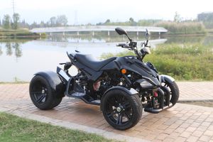 Racing-Quad-250ccm-SPY-Speedbird-schwarz-1.jpg