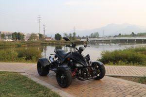 Racing-Quad-250ccm-SPY-Speedbird-schwarz-1_1.jpg