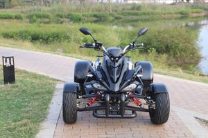 Racing-Quad-250ccm-SPY-Speedbird-schwarz-2_1.jpg