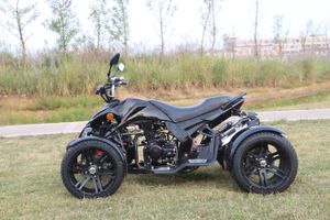 Racing-Quad-250ccm-SPY-Speedbird-schwarz-3.jpg