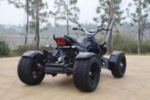 Racing-Quad-250ccm-SPY-Speedbird-schwarz-6.jpg