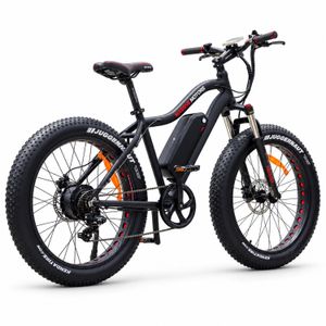 E-Fatbike Sport 750 W mit 48 V / 17,5 Ah – Heckansicht schräg rechts