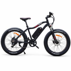 E-Fatbike Sport 750 W mit 48 V / 17,5 Ah – Seitenansicht mit Kettenantrieb