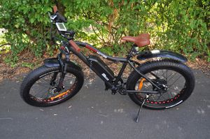 Kotfluegel-Fat-bike-1--4-.jpg