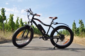 Kotfluegel-Fat-bike-1--6-.jpg