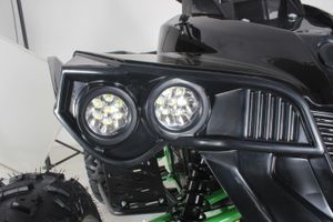Panther Kinder Quad Lampe