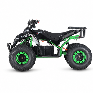 Kinderquad Panther 1500W 60V Gruen Studio Heck