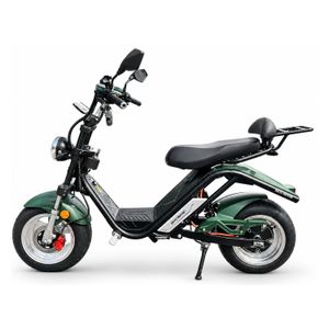 Dayi E-Thor 3.0 Elektroroller in Grün – seitenansicht 01