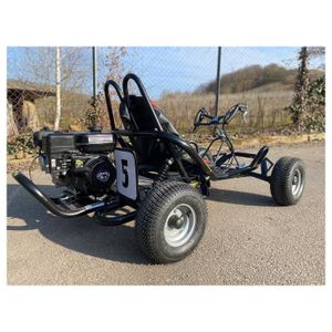 gokart-verbrenner-drift-kart-196ccm-hinten-schraeg.jpg