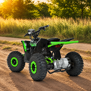 Werbebild Kinderquad 350W 48V Tiger mit Differntial in Wüste von hinten