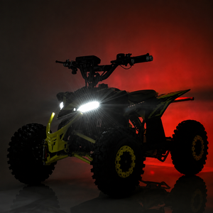 Bild von Quad Modell Tiger 350 mit Licht