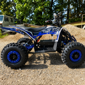 kinder-elektro-quad-blau-mit-differential