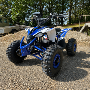 Elektro Kinderquad in Blau mit Differential – Leistungsstarkes und robustes Quad für Kinder