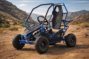Elektro-Gokart-Offroad-Kinderbuggy-1000W-36V-Blau.jpg