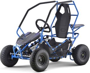 Elektro-GokartKinderbuggy-1000W-36V-Blau1.jpg