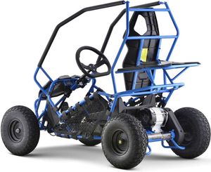 Elektro-GokartKinderbuggy-1000W-36V-Blau4.jpg
