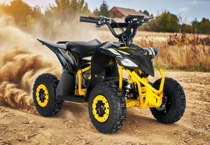 Kinderquad-elektrisch-ATV12-EA-Gelb.png