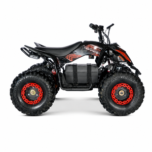 Kinderquad elektrisch ATV016 Rot auf Wiese
