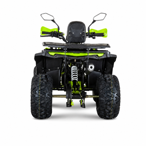 AFP125 Kinderquad 125 ccm Grün Schwarz Heck gerade