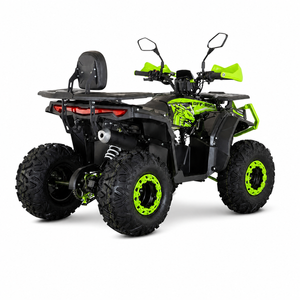 AFP125 Kinderquad 125 ccm Grün Schwarz Heck-Dreiviertel rechts