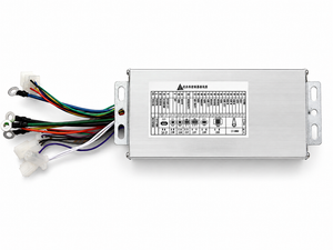 steuereinheit-1000W-48V-brushless-ru--ckseite.png