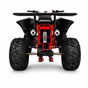 Kinderquad 125ccm Neuer Ranger Rot Seite hinten Kinderquad 125ccm Neuer Ranger Rot Seite hinten