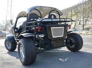 313-Beachbuggy-schwarz---dach.jpg