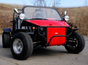 313-Buggy-Gokart-650ccm-rot.jpg
