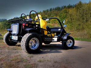 313-Buggy-Gokart-650ccm.jpg