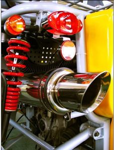 313-buggy-mit-stra--enzulassung-650c-3.jpg