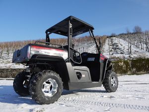 UTV-250ccm-Hisun-Sektor-Rot-4.jpg
