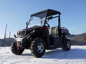 UTV-250ccm-Hisun-Sektor-Rot.jpg