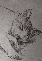 Kuscheldecke Katze grau Nahaufnahme einer hellgrauen Kuscheldecke mit dunkelgrauem Motive einer ausgestreckten Katze und dem Schriftzug Mach`s dir gemütlich