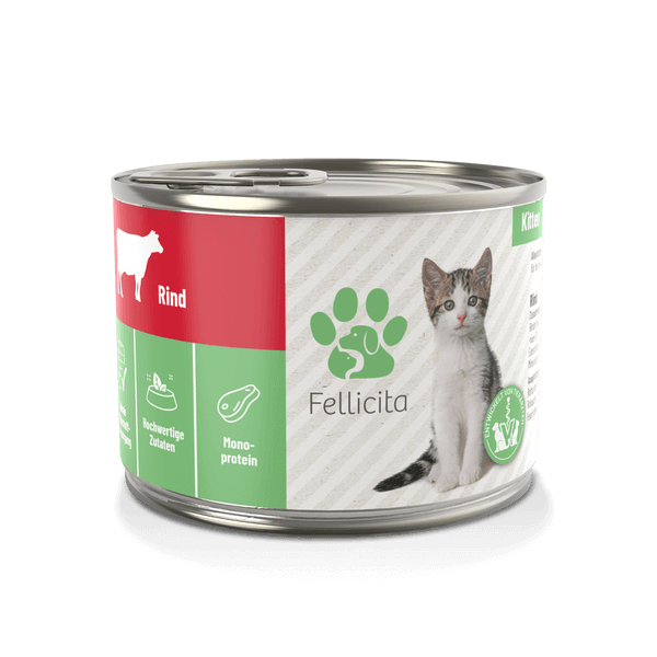 Fellicita Rind pur für Kitten