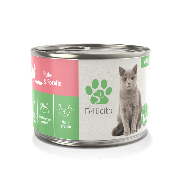 Fellicita Pute und Forelle