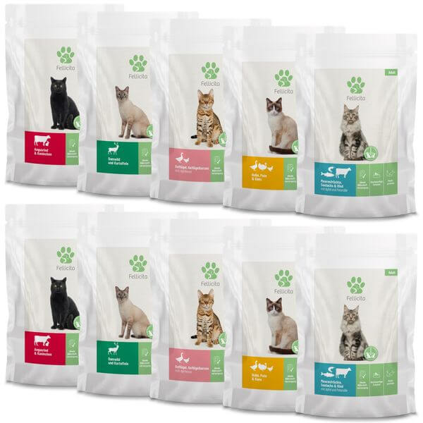 Fellicita Multipack