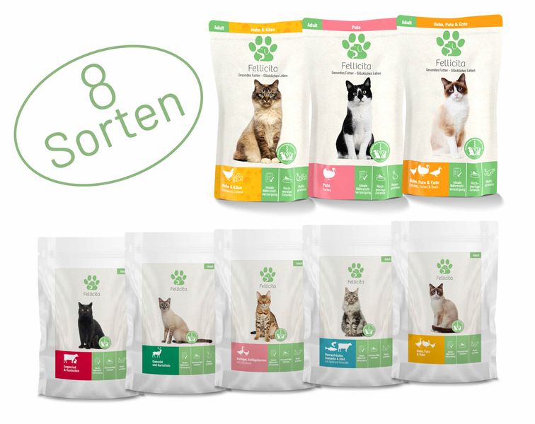 Fellicita Probierpaket/100g