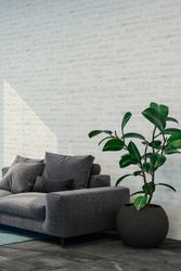 profhome-tapte-wallpaper-intl-374222-4.jpg profhome-tapte-wallpaper-intl-374222-4.jpg